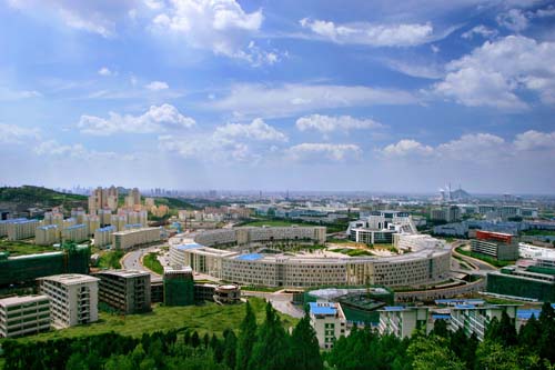 綿陽市構(gòu)建“四個一”產(chǎn)業(yè)鏈招商機(jī)制 推動新型顯示產(chǎn)業(yè)集聚集群發(fā)展